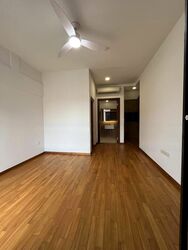 Holland Link (D10), Terrace #467348031